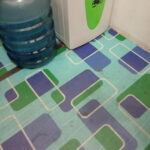 16908639833154238248142129180721