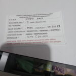 16973752080966290524042267553332