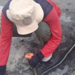 IMG_20240509_105600_1