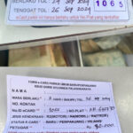 B13ECD97-A0CB-44FB-A7F0-C8988A6299CD