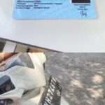 E88849C7-8436-44F2-8559-3151D39FE7F0