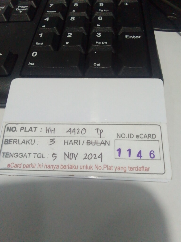 17308016231641381837582978201777