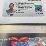 EDDF6D56-1513-4523-AF67-C2BCCF71E435