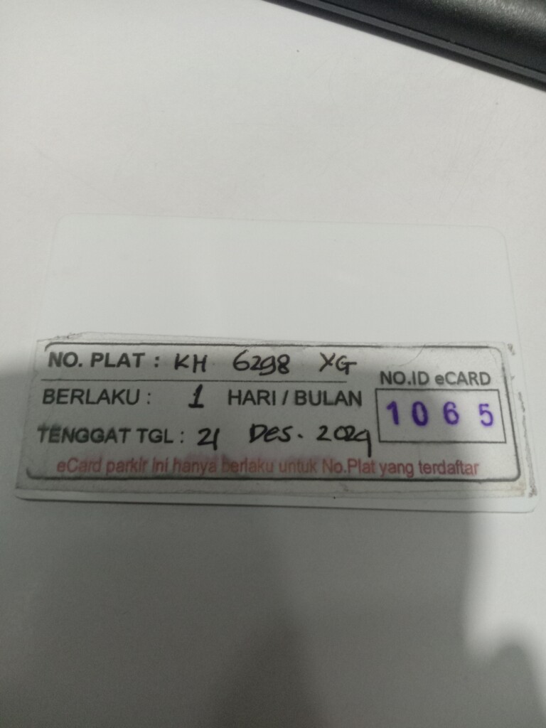 17347059306378178311728900168052