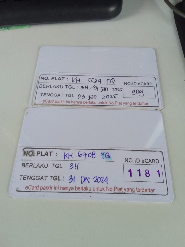 17358012573596513166095961993478