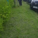 IMG_20250117_145522_1