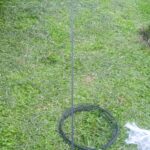 IMG_20250117_145524_1