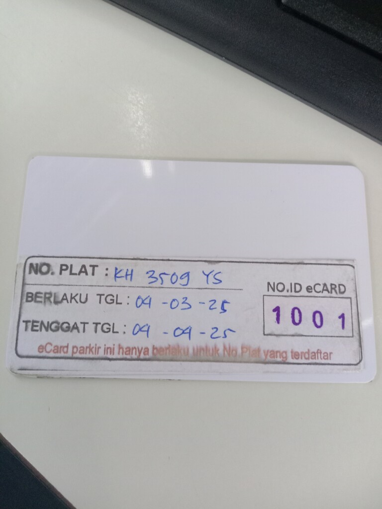 17431498035601871255565266195590